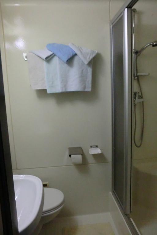 Weisses Roessl Werfen Hotel Bagian luar foto