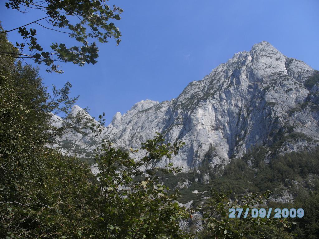 Weisses Roessl Werfen Hotel Bagian luar foto